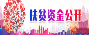 扶贫资金公开