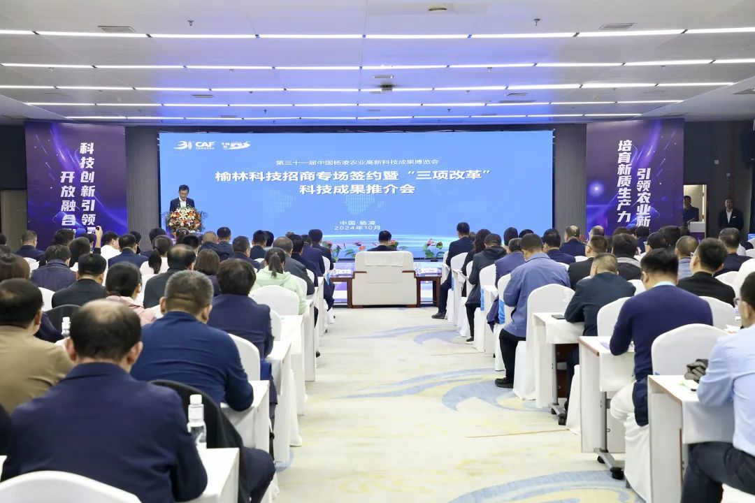 签约1.jpg